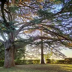 Farm stay Borgo Villa Certano - Case Vacanza In Toscana Siena