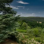 Borgo Villa Certano - Case Vacanza In Toscana Farm stay *