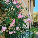 Borgo Certano - In Toscana *