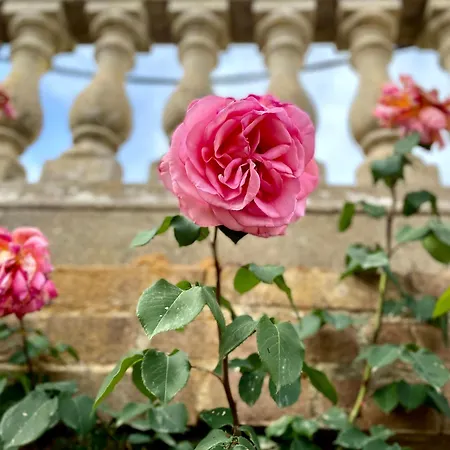 Borgo Certano - In Toscana * Sienne