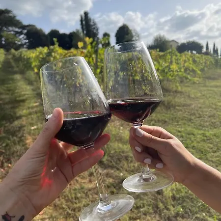 Borgo Certano - In Toscana Séjour à la ferme *