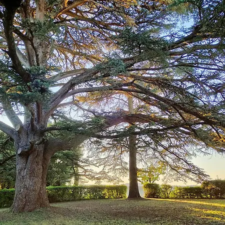 Gospodarstwo agroturystyczne Borgo Certano - In Toscana Siena