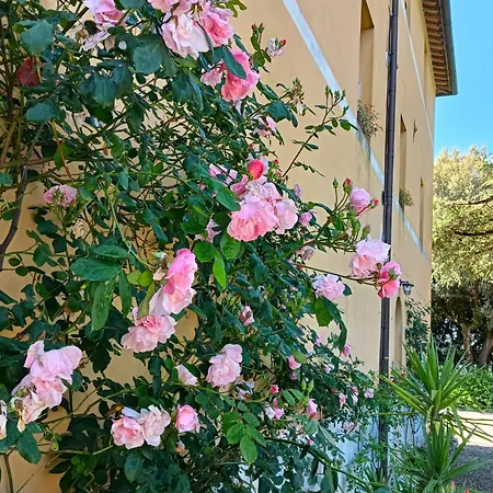 Borgo Villa Certano - Case Vacanza In Toscana *