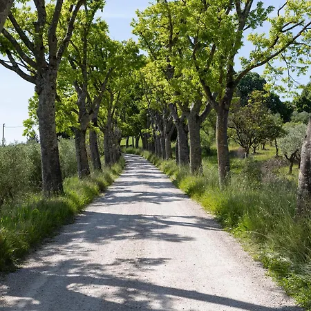 ファームステイ Borgo Certano - In Toscana *