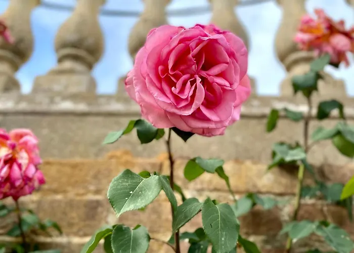 Borgo Certano - In Toscana * 锡耶纳