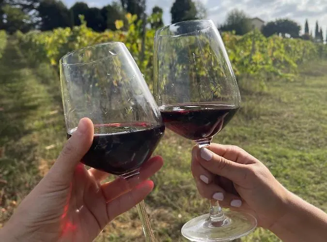 Borgo Certano - In Toscana ファームステイ *