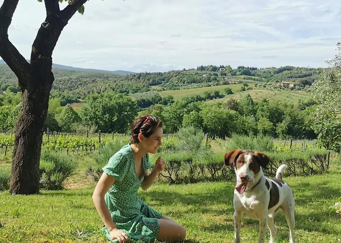 Borgo Certano - In Toscana * 锡耶纳