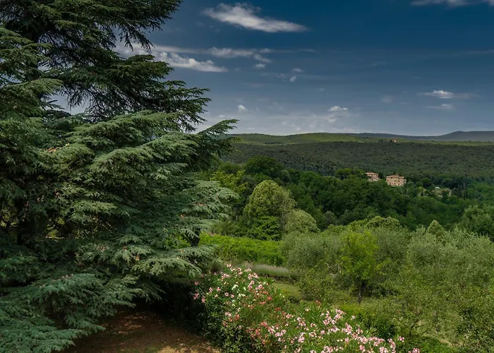 Borgo Certano - In Toscana 农家乐 *