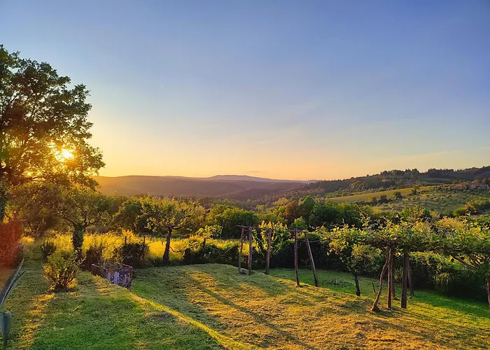 Borgo Certano - In Toscana 农家乐 锡耶纳
