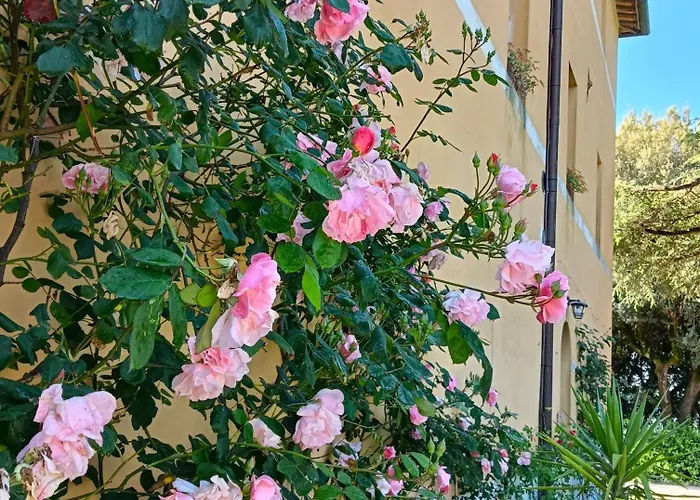 Borgo Certano - In Toscana *