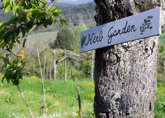 Borgo Certano - In Toscana シエーナ