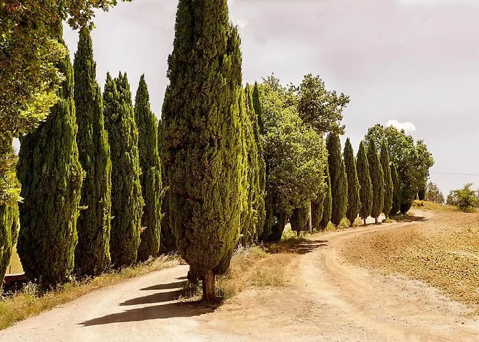 Borgo Certano - In Toscana