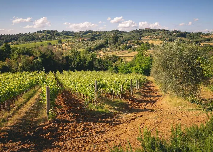 Borgo Certano - In Toscana * シエーナ