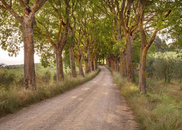 Borgo Certano - In Toscana * 锡耶纳