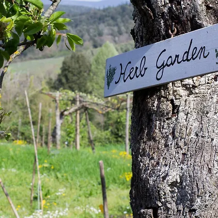 Borgo Certano - In Toscana סיינה