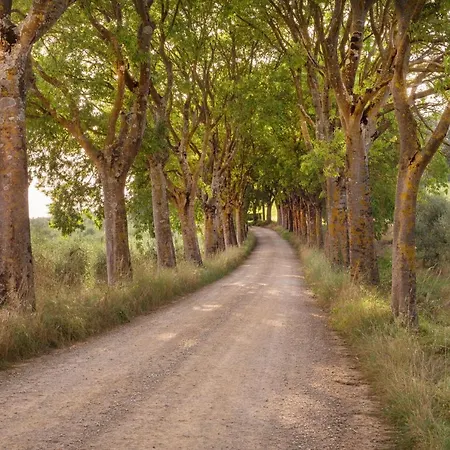 Borgo Certano - In Toscana * Siena