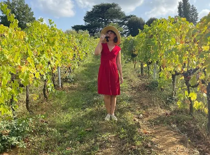 Lantgård Borgo Villa Certano - Case Vacanza In Toscana *