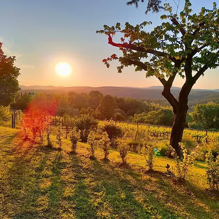 Borgo Villa Certano - Case Vacanza In Toscana * Siena