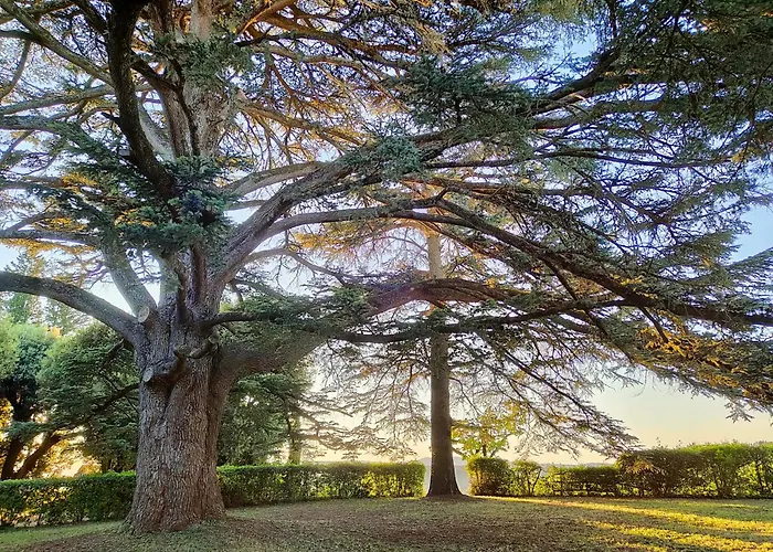 Farm stay Borgo Villa Certano - Case Vacanza In Toscana Siena